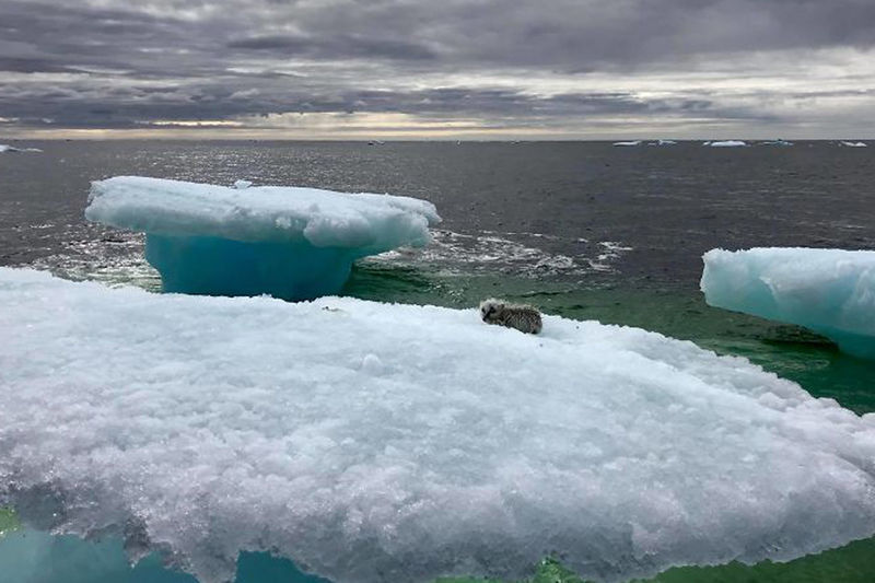 Approaching Ice