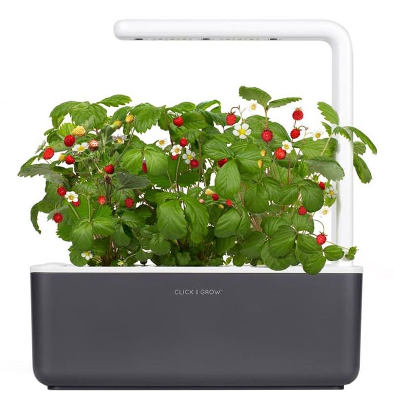 Smart Garden 3