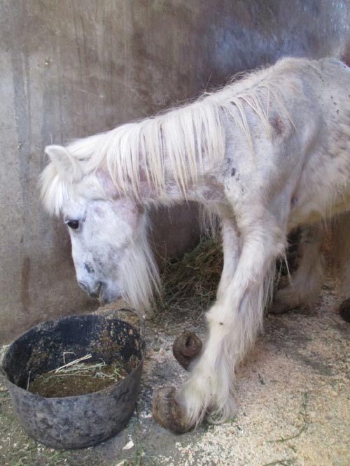 Annie Taking Her First Meal