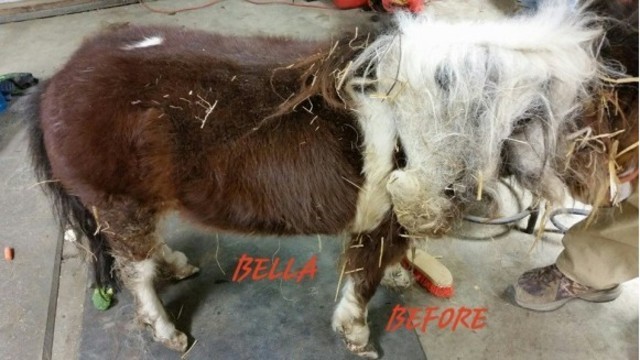 Bella Before She Had Gotten Cleaned Up