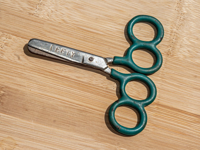 Training Scissors