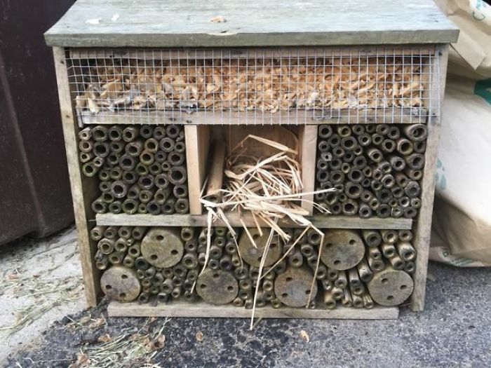 Bee Hotel