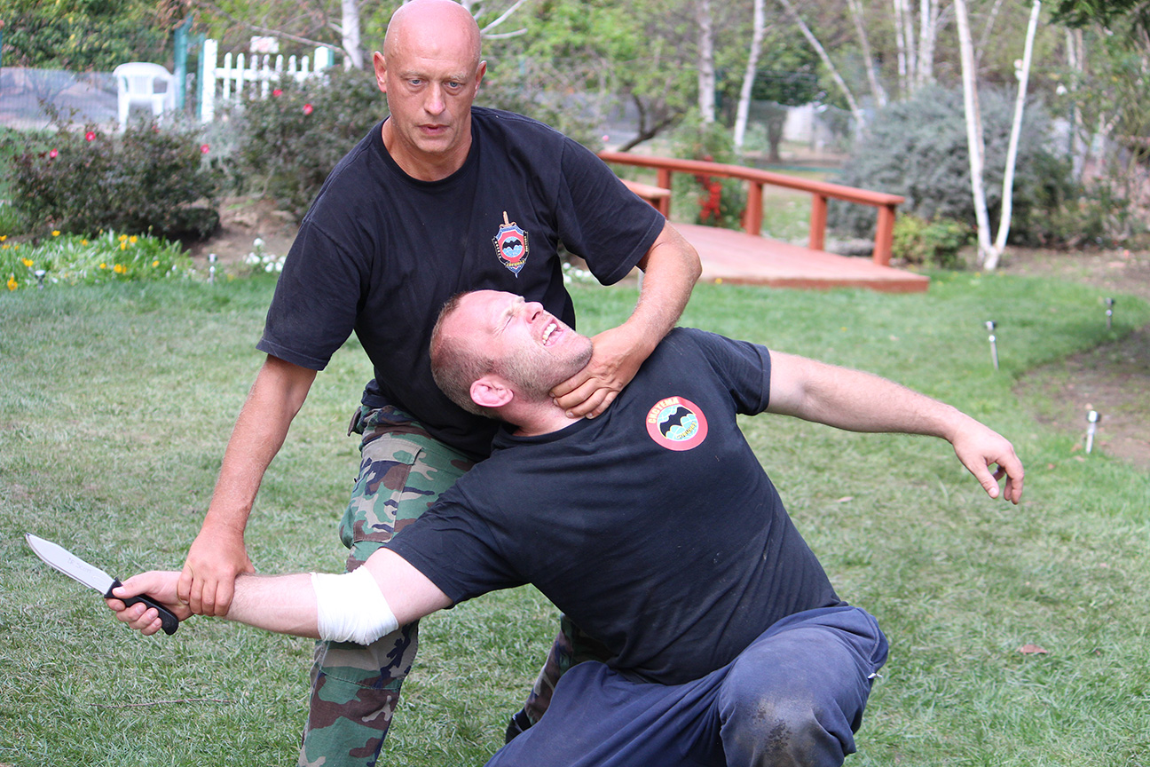 Systema Training