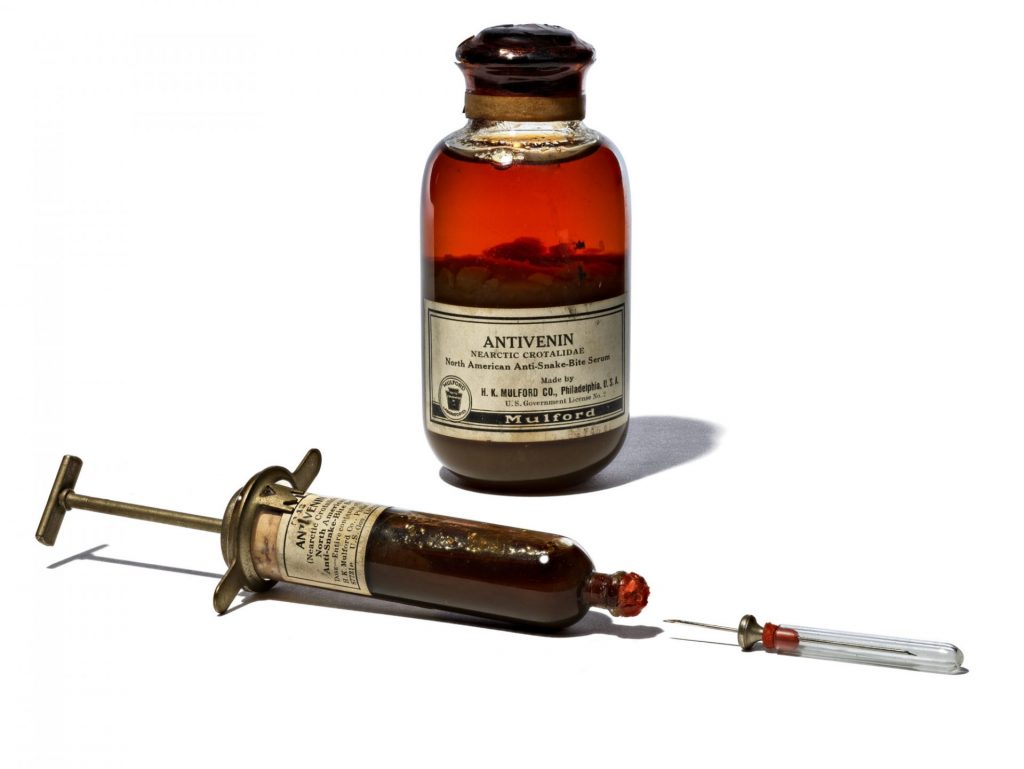 Vintage Syringe And Bottle Of Antivenom