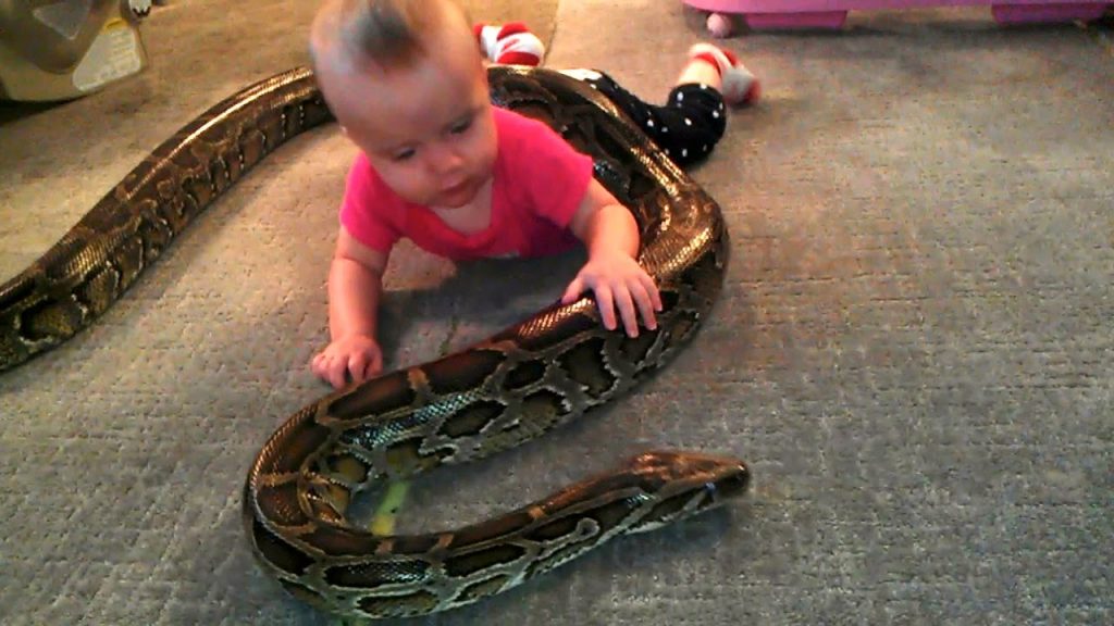 A Baby With A Large Snake