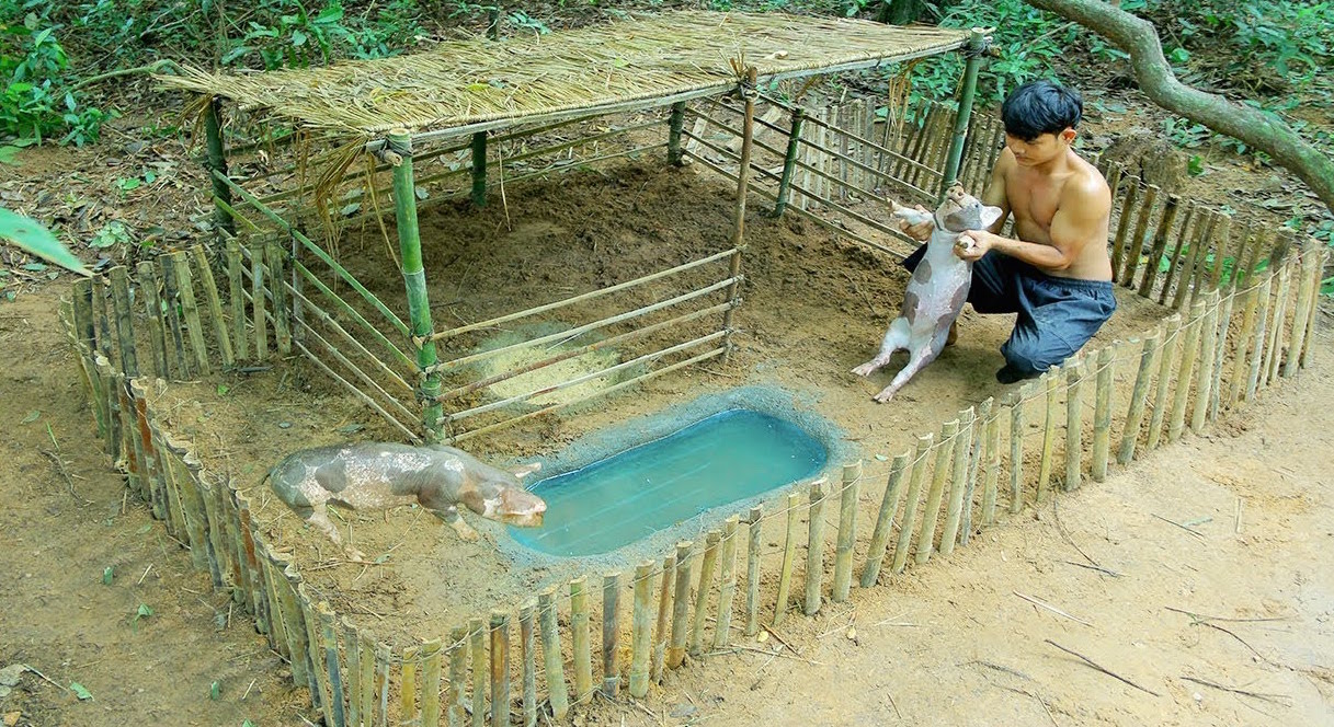 Pig Shelter