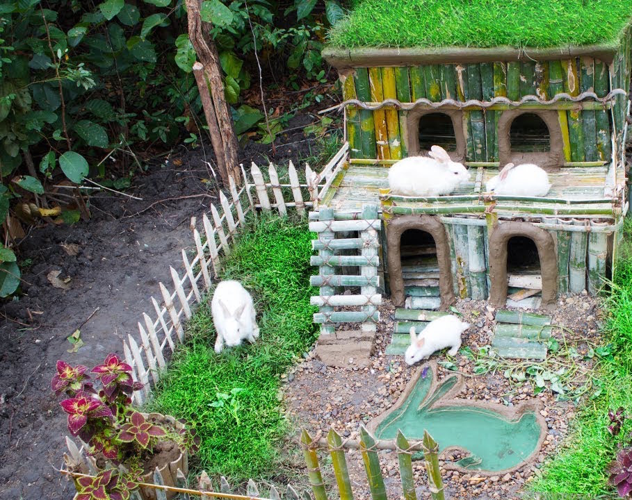 Rabbit Hotel