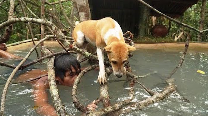 Swim Break