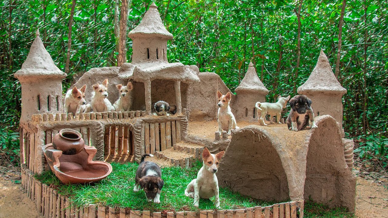 Castle Full Of Puppies