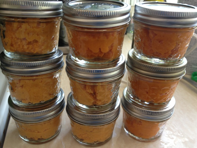 Jars of Paleo Baby Food