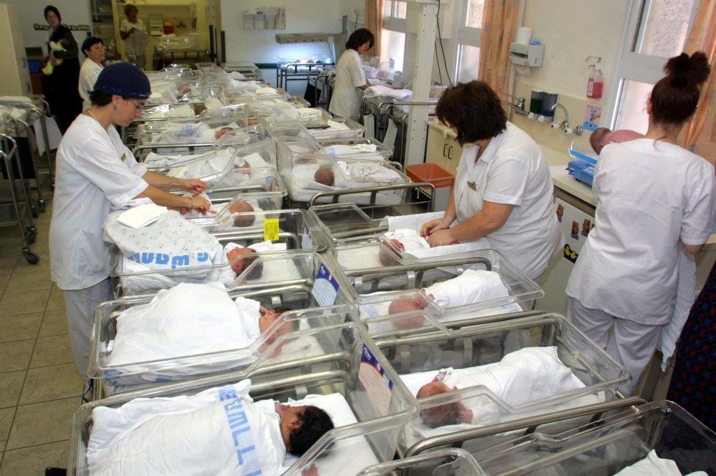 Babies In Maternity Ward