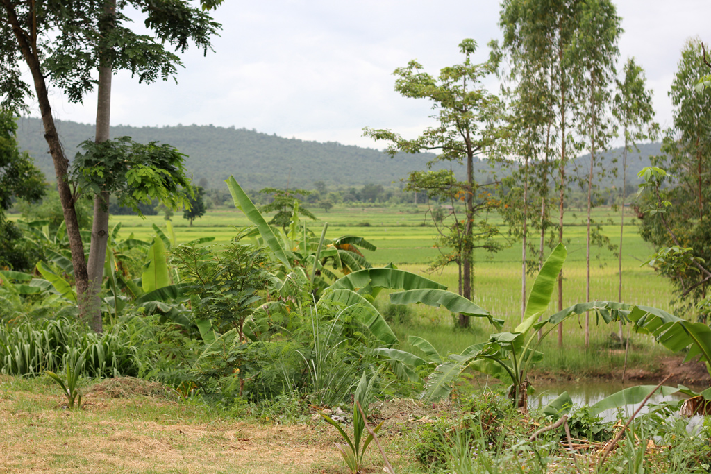 Thailand Countryside