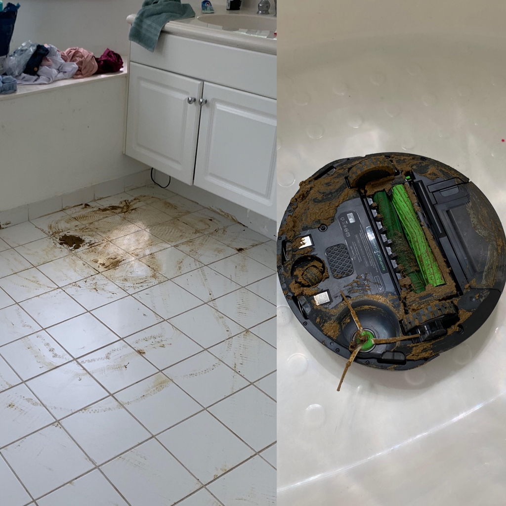 Roomba And The Mess It Made