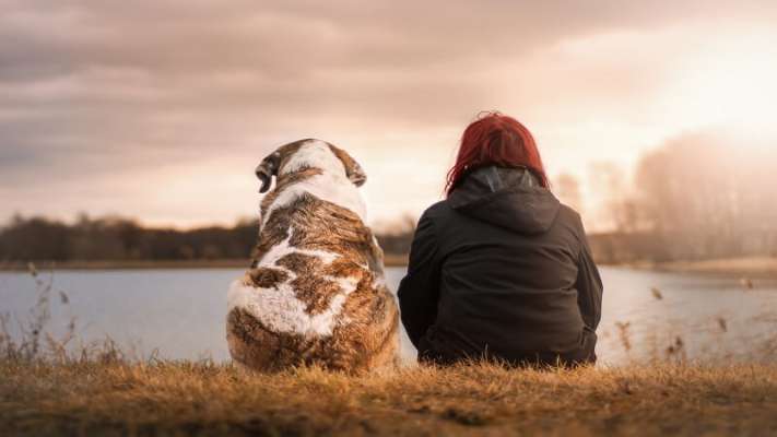 Owner And Dog