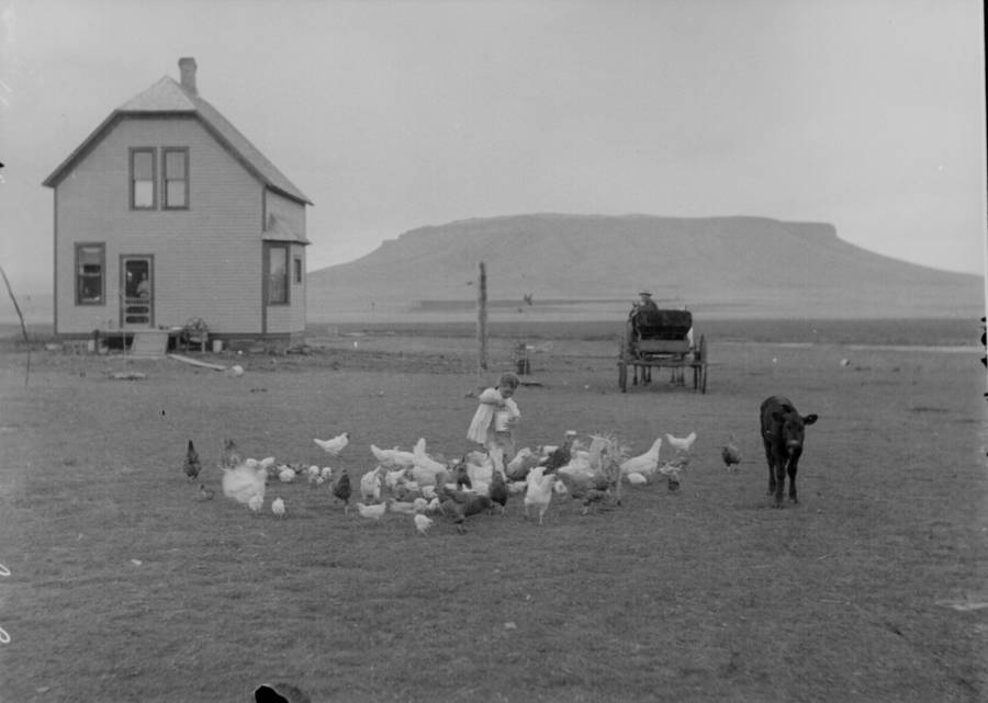 A Western Homestead