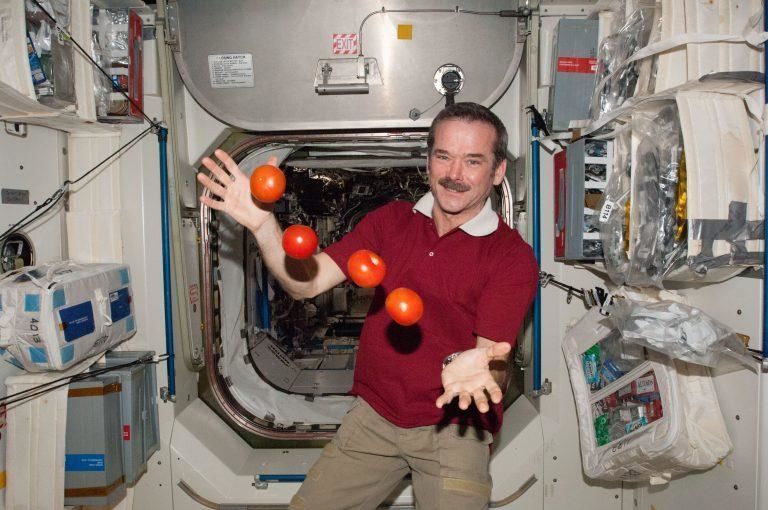 Chris Hadfield Says It Is Unlikely Early Settlers Can Come Back To Earth