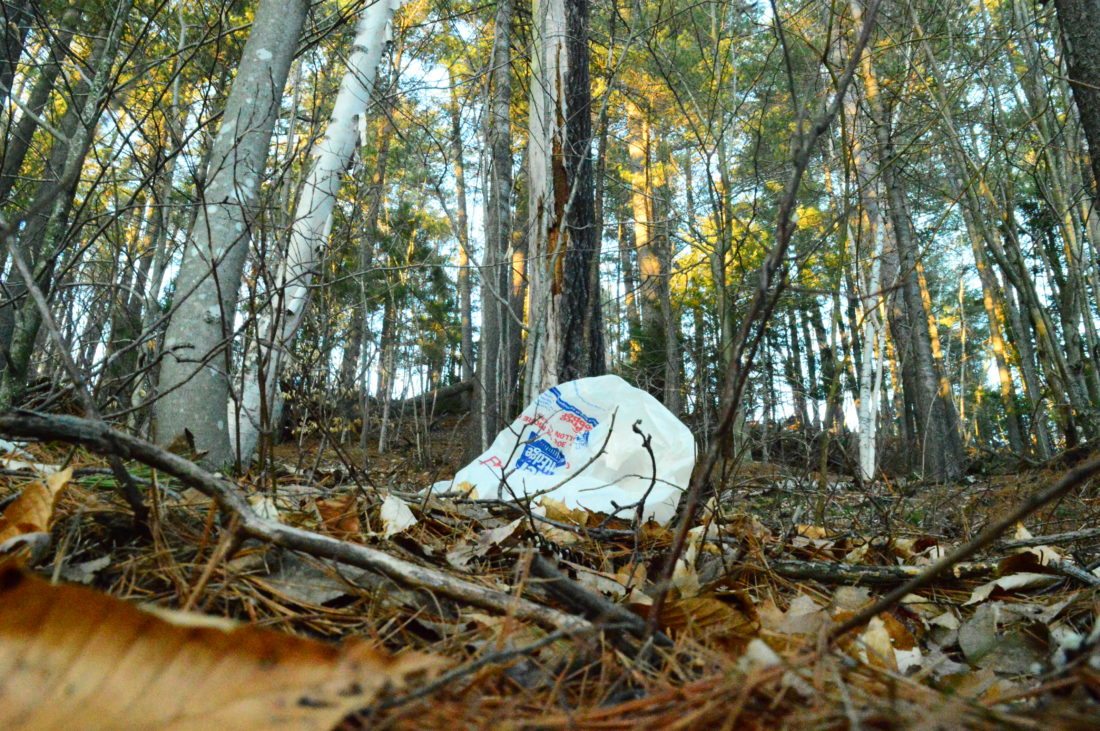 Abandoned Plastic Bag