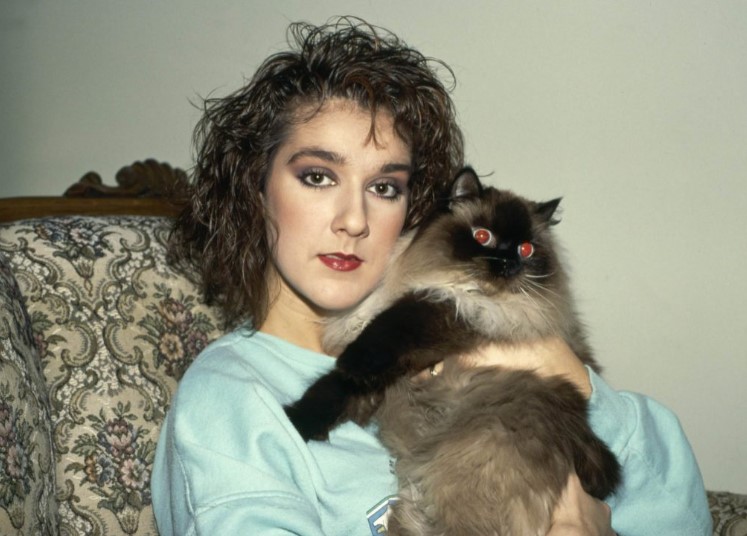 Celine Cuddling A Cat