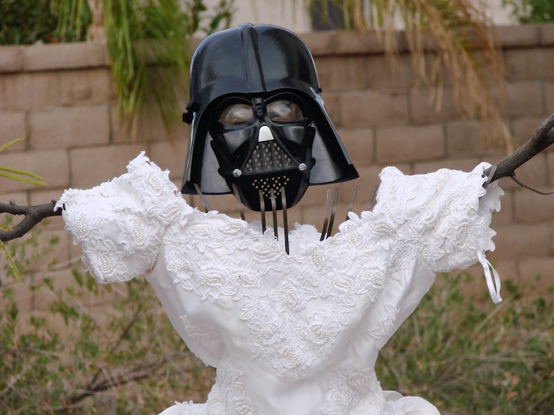 Luke, I Am Your… Bride?