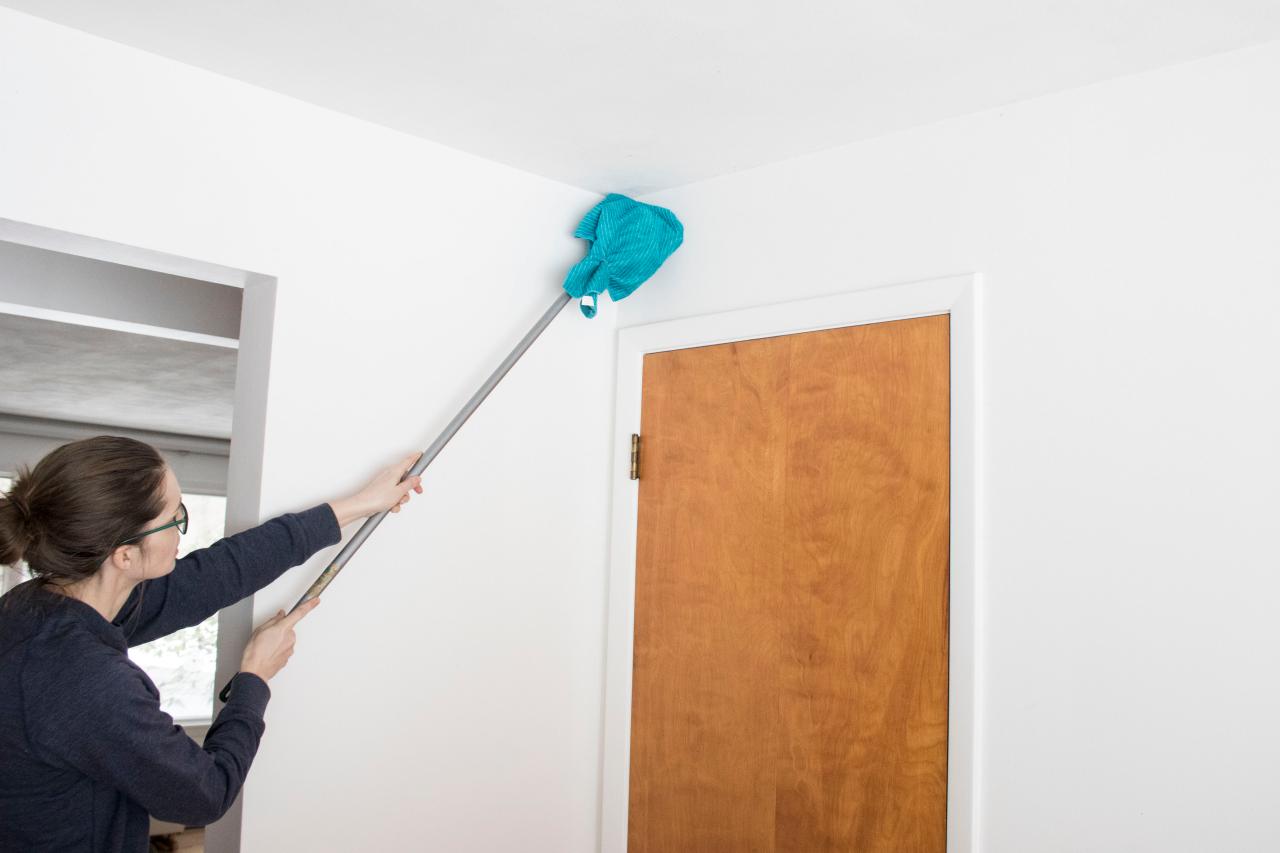 Disinfect Moldy Walls