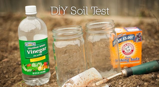 Test Gardening Soil