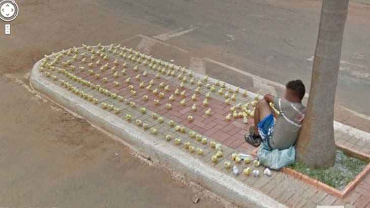 Rubber Ducks Or Real Ducks?