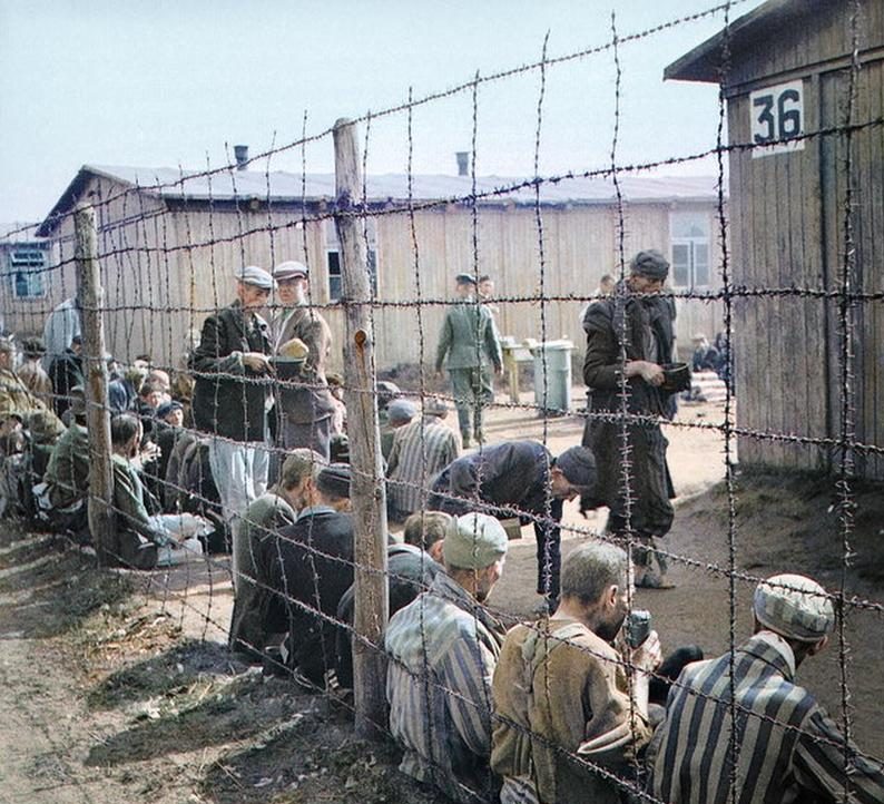 Liberation Of Auschwitz