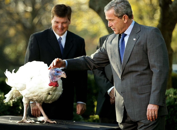 Pardoning A Turkey