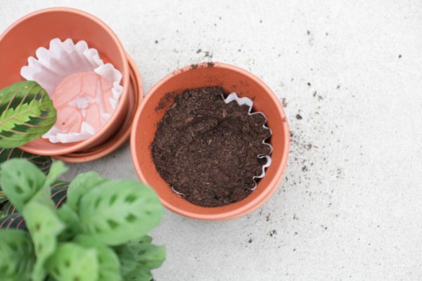 Converting Coffee Filters