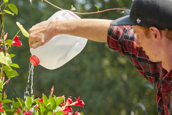 Watering Cans