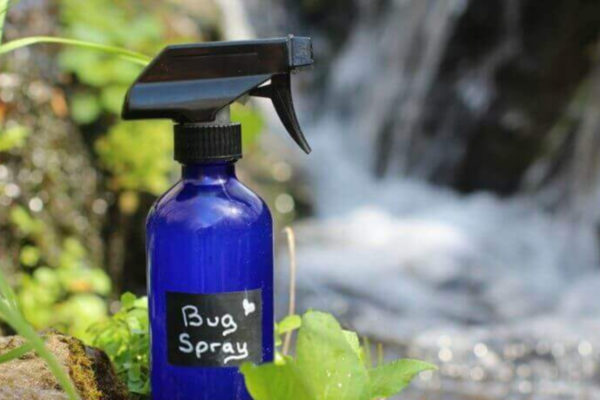 Homemade Insect Spray