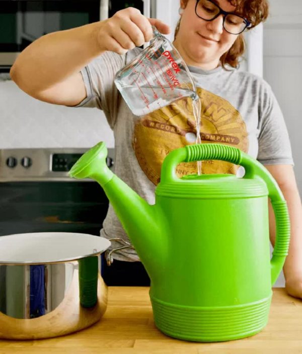 Reusing Cooking Water