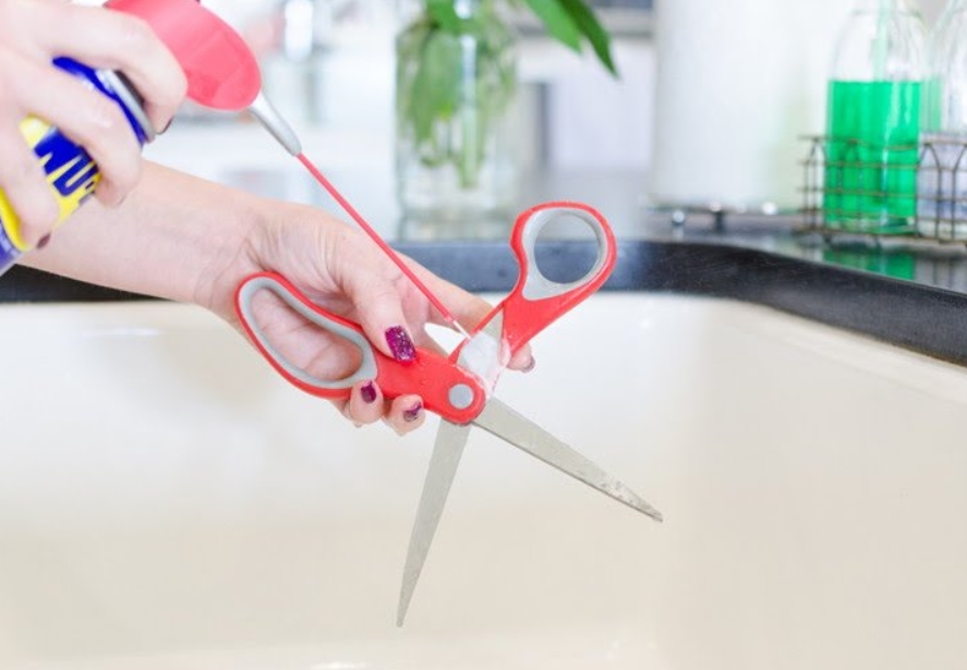 Cleaning Scissors