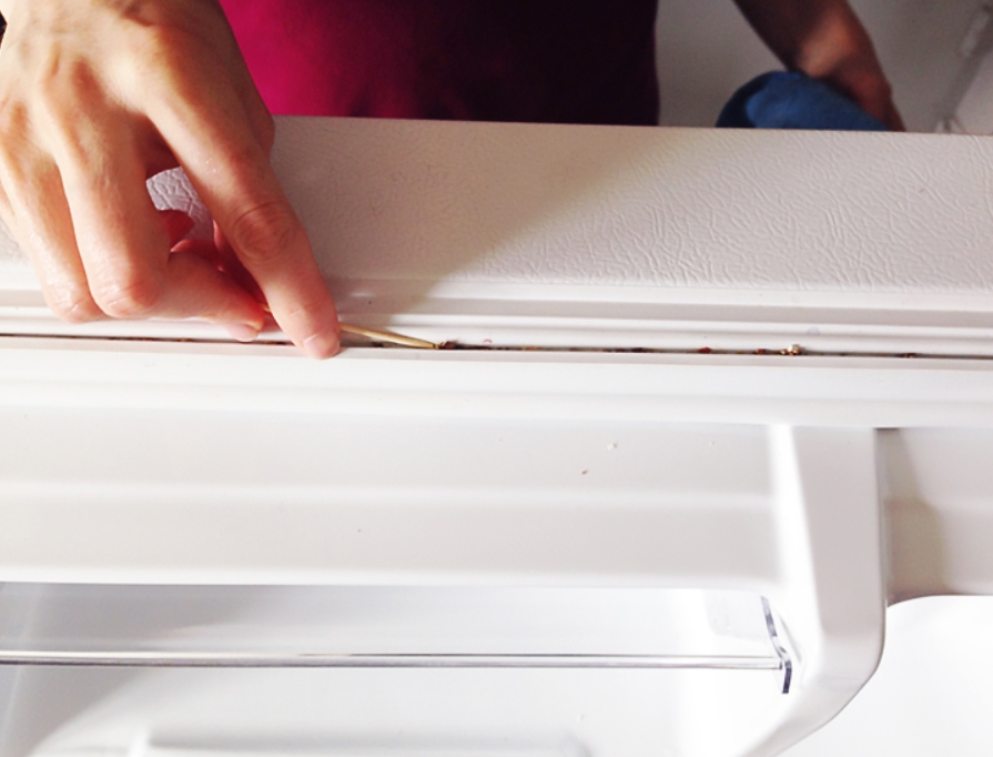 Cleaning Your Fridge Gasket