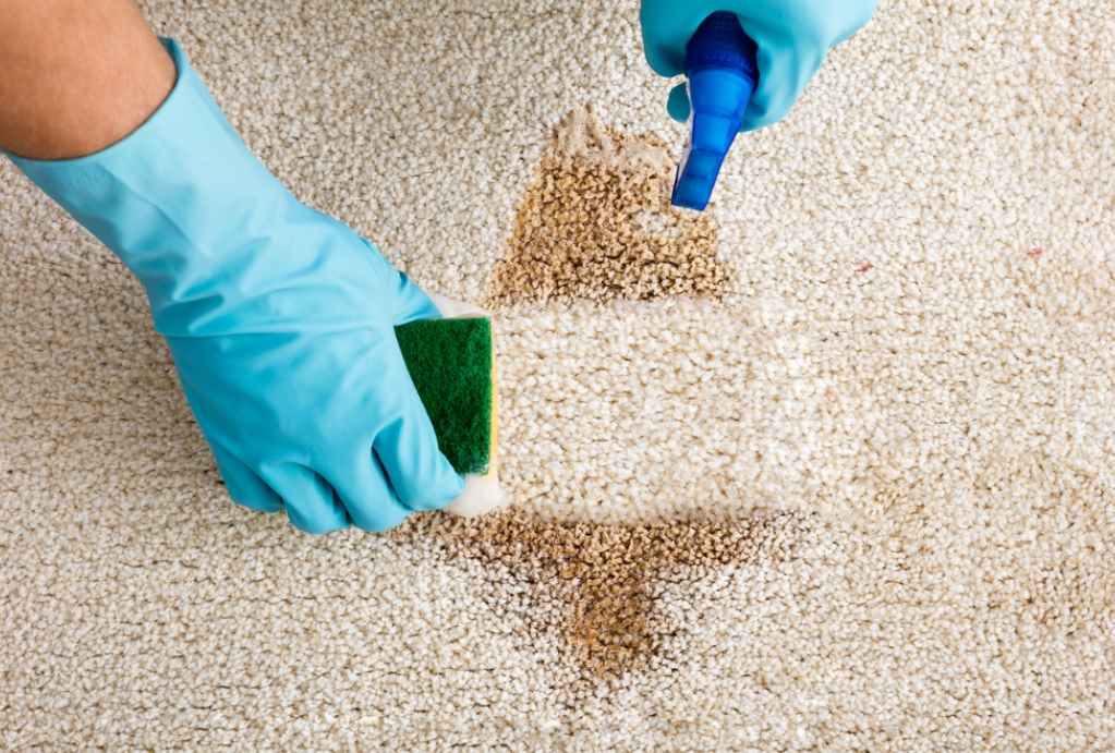 Cleaning Carpet Stains