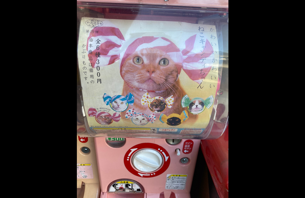 Vending Machines For Cats