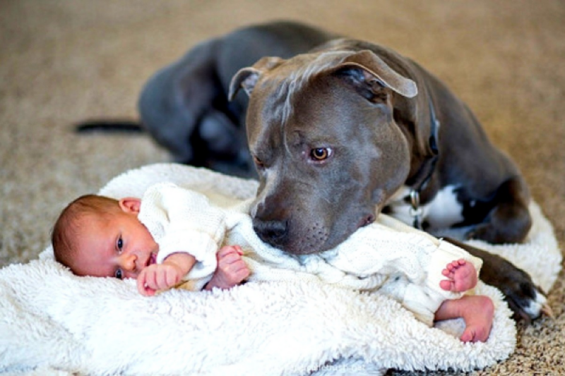 Dog Doesn't Leave Her Side