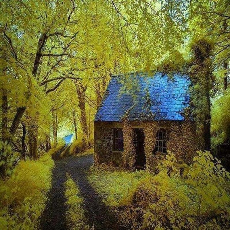 Cottage In Stradbally, Ireland
