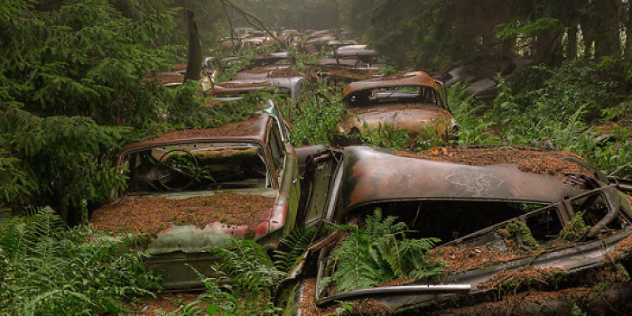 Cars Left By Soldiers