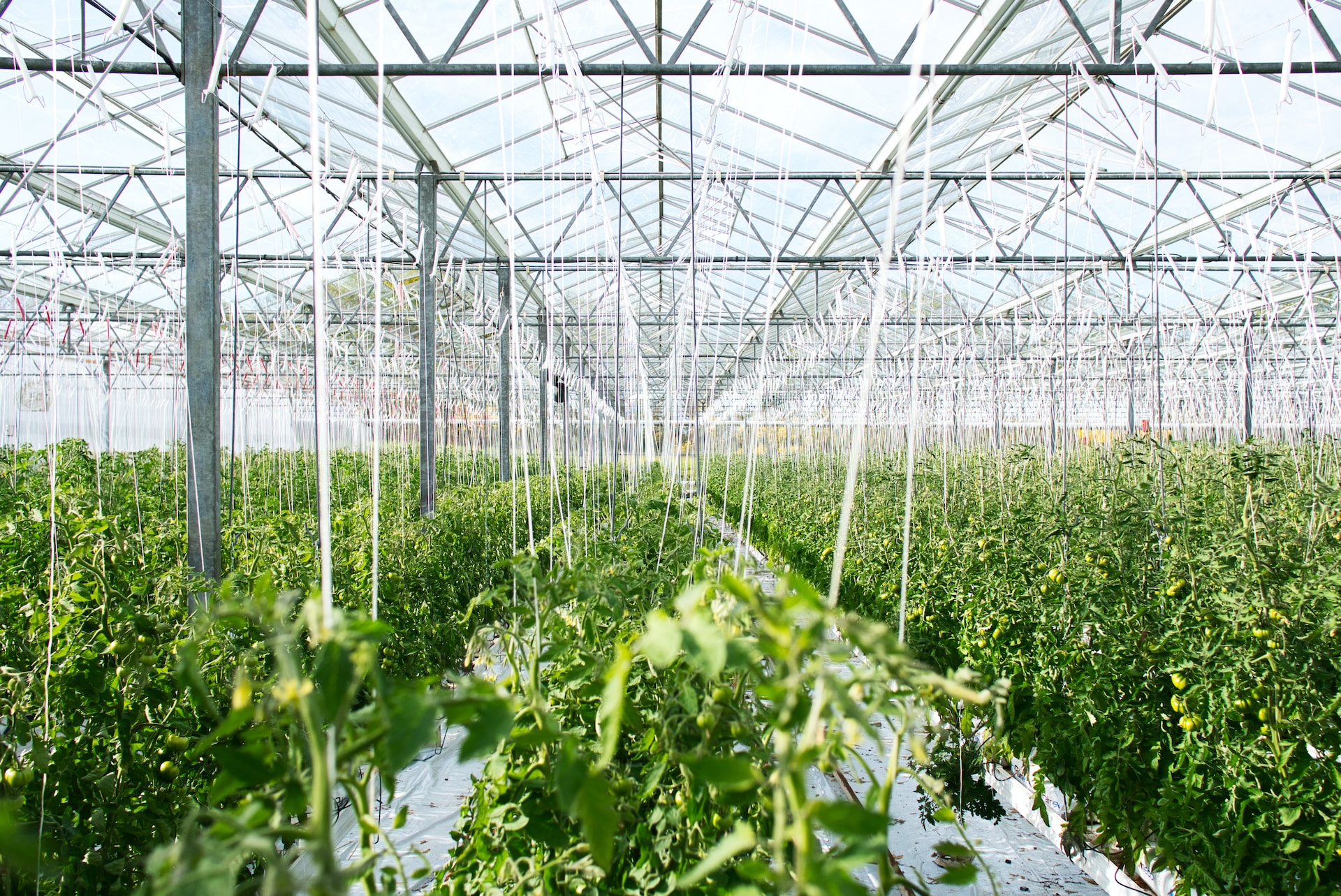 Agritech Improves Sustainability