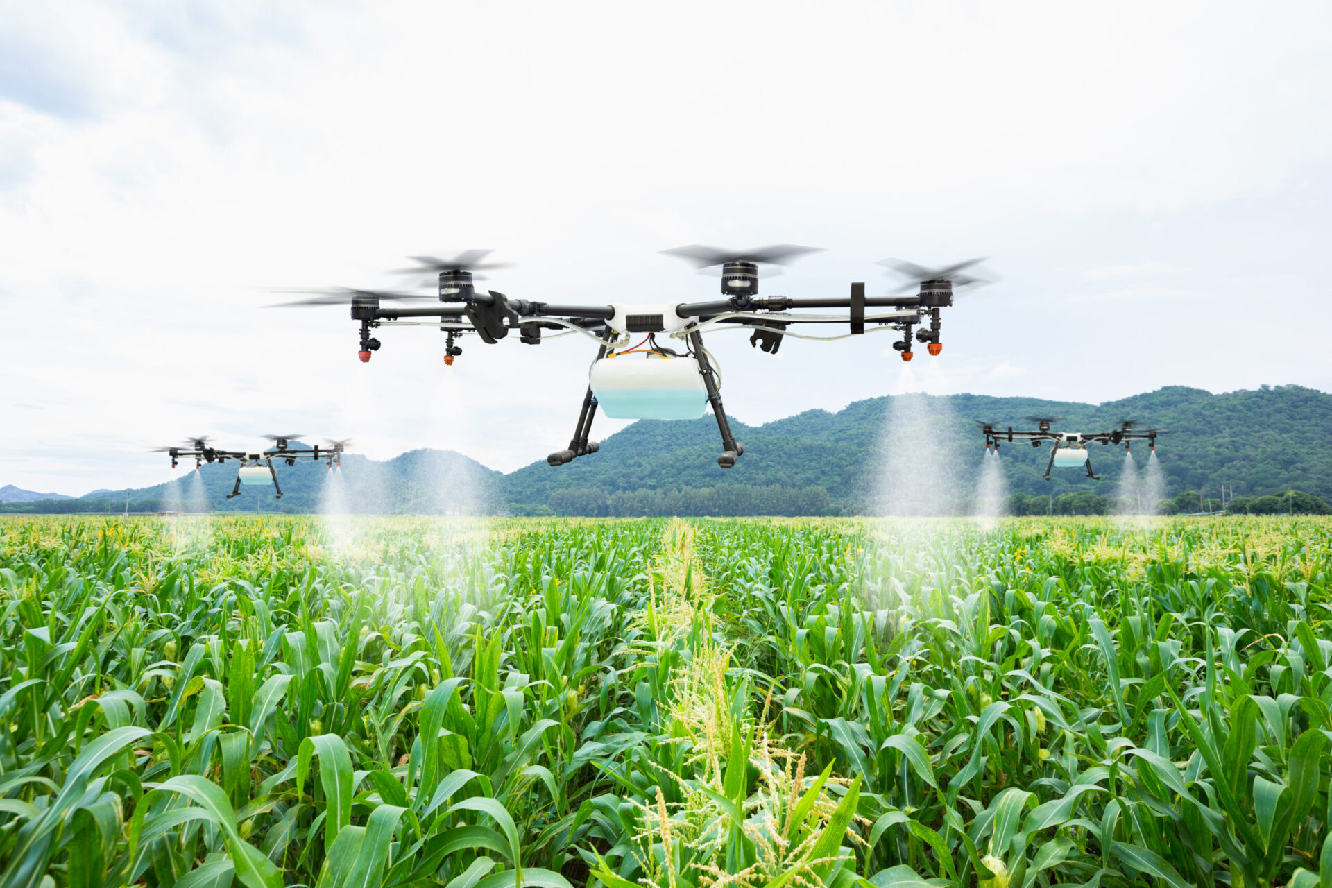 It Will Improve Food Farming (Shutterstock)