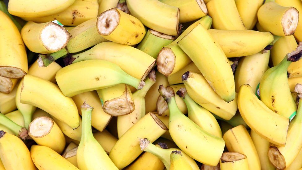 The Cavendish Banana Is At Risk